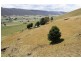 Lot 21 West Gilmore Road, Tumut NSW 2720