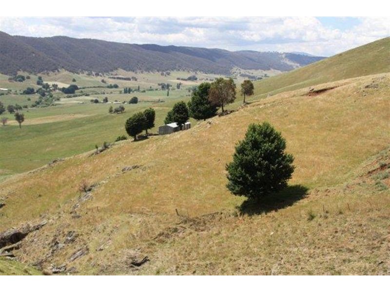 Lot 21 West Gilmore Road, Tumut NSW 2720