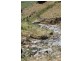 Lot 21 West Gilmore Road, Tumut NSW 2720