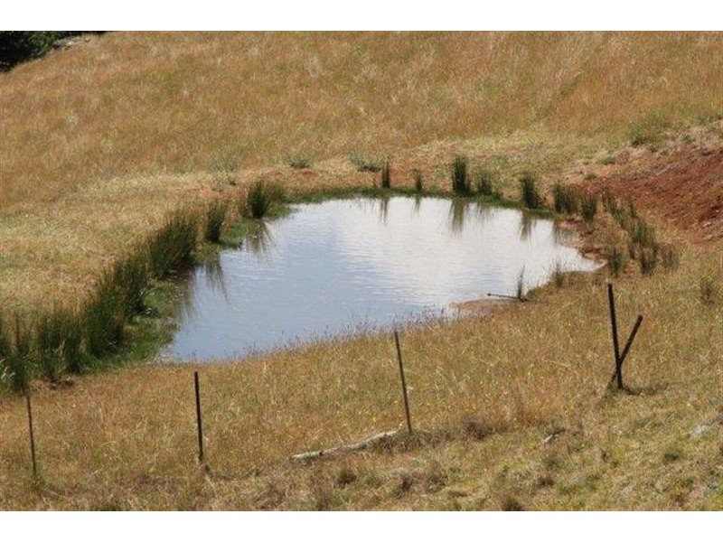Lot 21 West Gilmore Road, Tumut NSW 2720