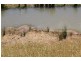 Lot 21 West Gilmore Road, Tumut NSW 2720