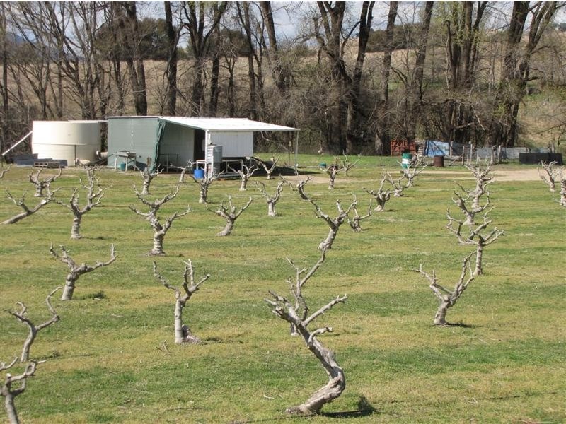 - Back Sandy Gully Road, Adelong NSW 2729