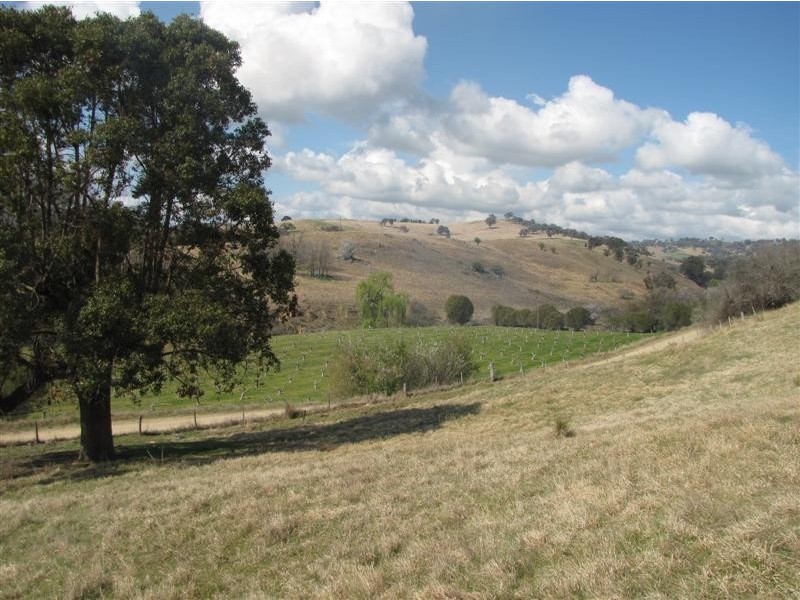 - Back Sandy Gully Road, Adelong NSW 2729