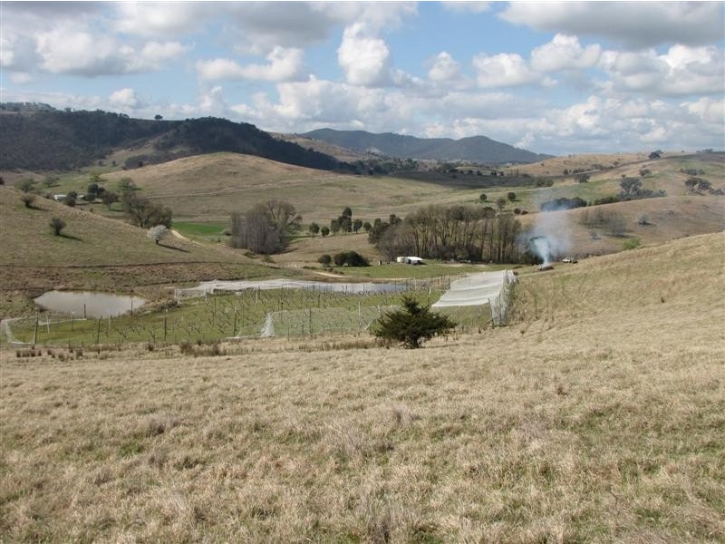 - Back Sandy Gully Road, Adelong NSW 2729