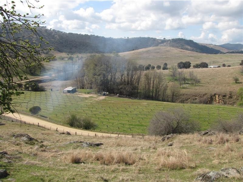 - Back Sandy Gully Road, Adelong NSW 2729