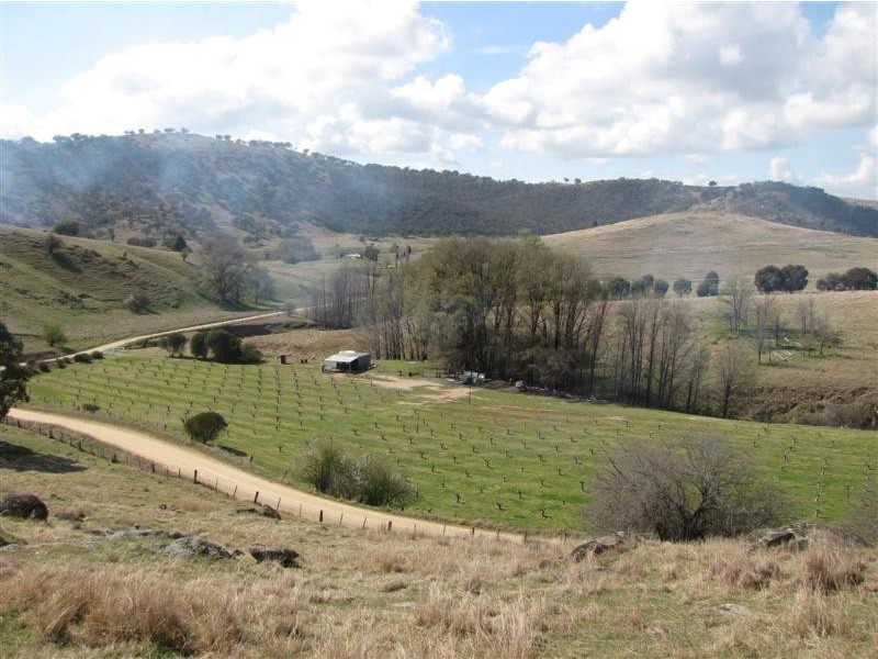 - Back Sandy Gully Road, Adelong NSW 2729