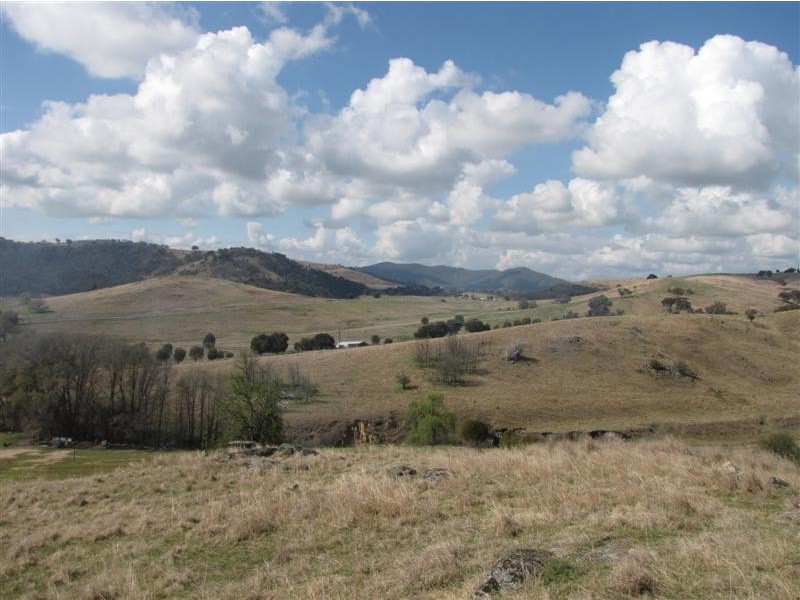 - Back Sandy Gully Road, Adelong NSW 2729