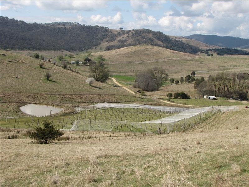 - Back Sandy Gully Road, Adelong NSW 2729