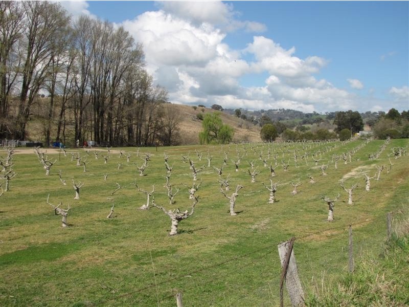 - Back Sandy Gully Road, Adelong NSW 2729