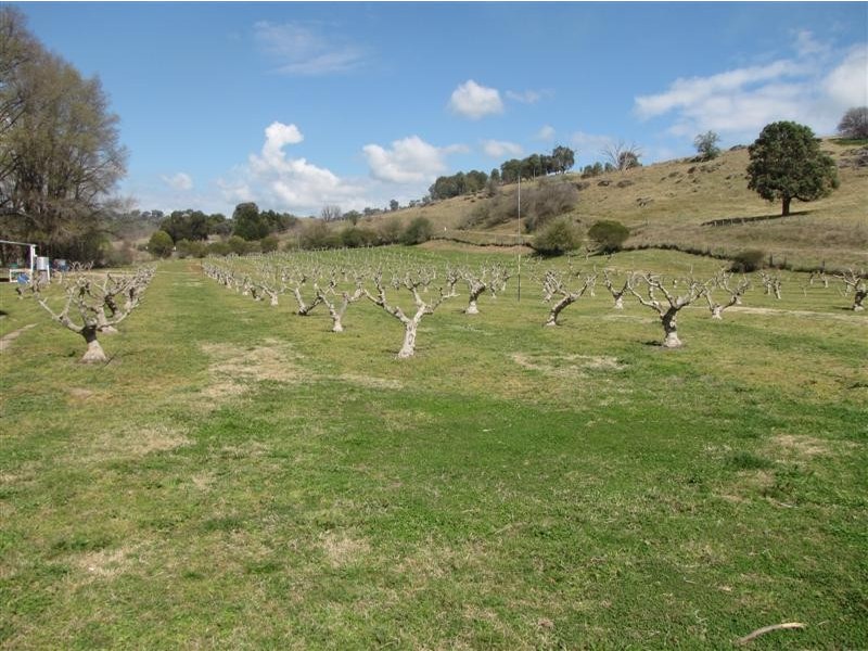 - Back Sandy Gully Road, Adelong NSW 2729