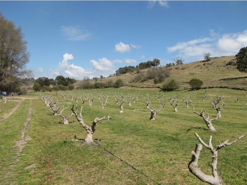 - Back Sandy Gully Road, Adelong NSW 2729