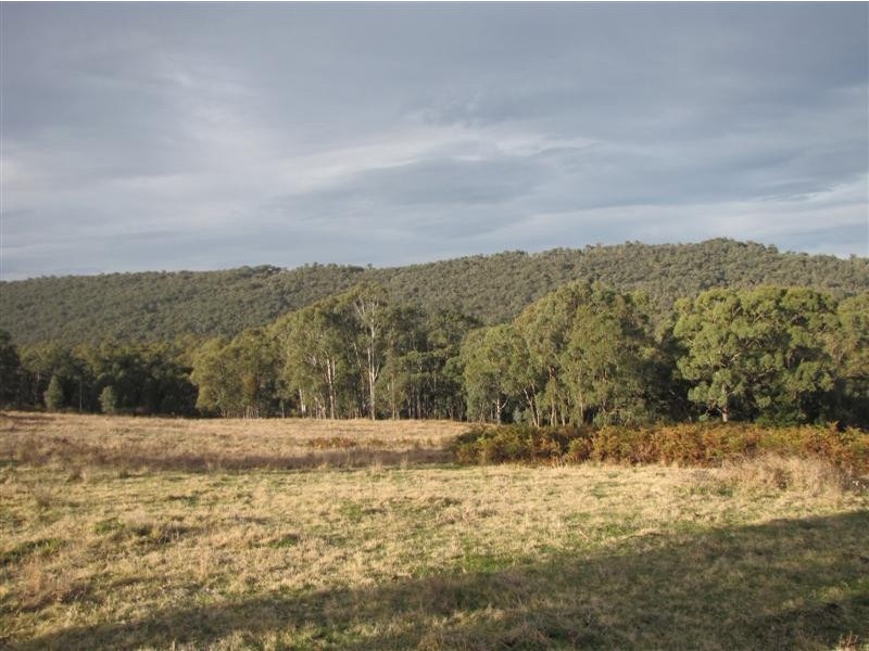 Lot 210 Old Tumbarumba Road, Wondalga, Tumut NSW 2720