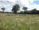 Lot 32 Morgans Reserve Road, Tumut NSW 2720