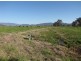 169 Butlers Lane Bombowlee Via, Tumut NSW 2720