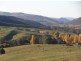 Lot 4 Old Tumbarumba Road, Tumut NSW 2720