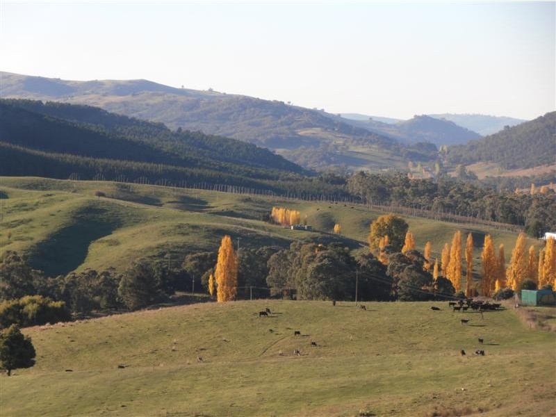 Lot 4 Old Tumbarumba Road, Tumut NSW 2720