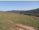 Lot 4 Old Tumbarumba Road, Tumut NSW 2720