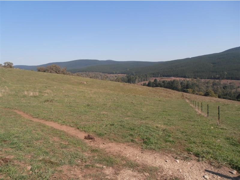 Lot 4 Old Tumbarumba Road, Tumut NSW 2720