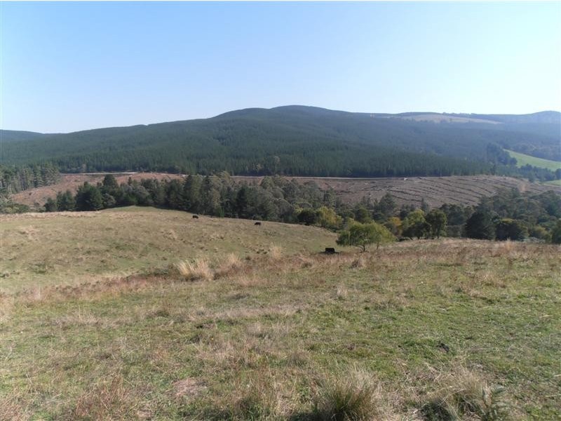 Lot 4 Old Tumbarumba Road, Tumut NSW 2720