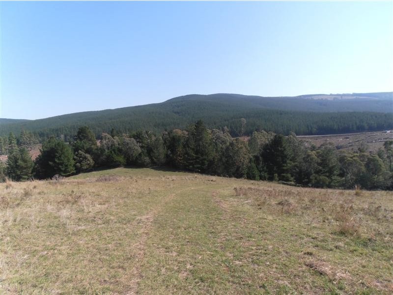 Lot 4 Old Tumbarumba Road, Tumut NSW 2720