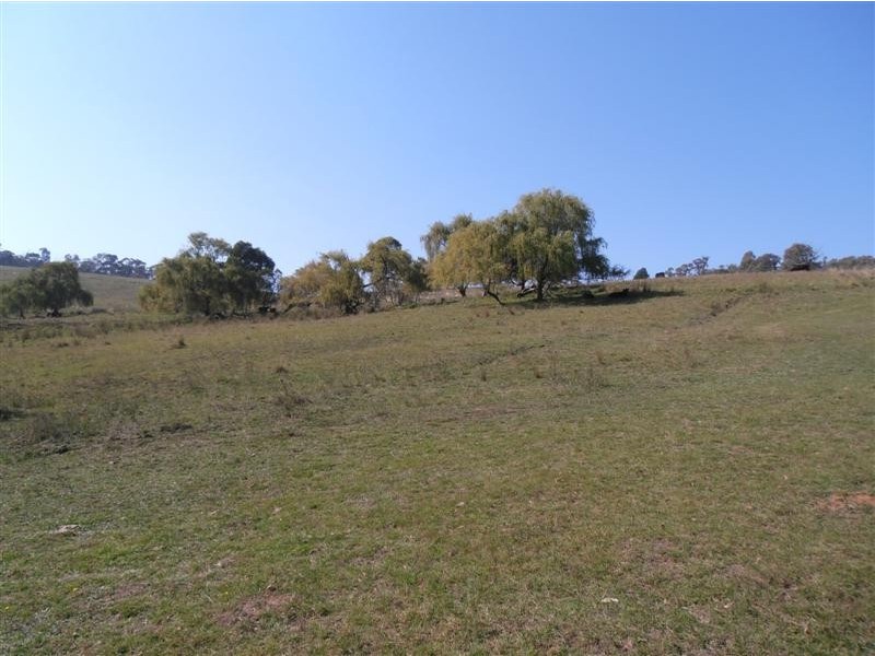 Lot 4 Old Tumbarumba Road, Tumut NSW 2720