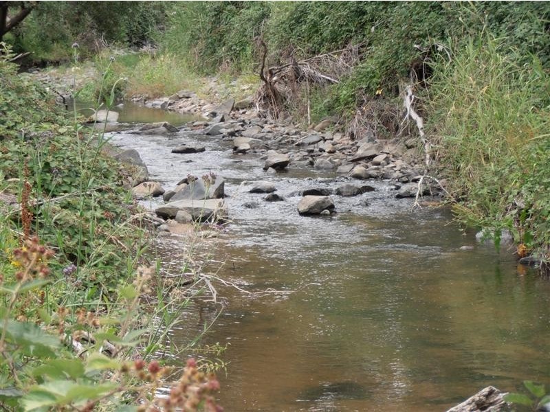 Lot 4 Old Tumbarumba Road, Tumut NSW 2720