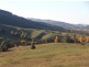 Lot 4 Old Tumbarumba Road, Tumut NSW 2720
