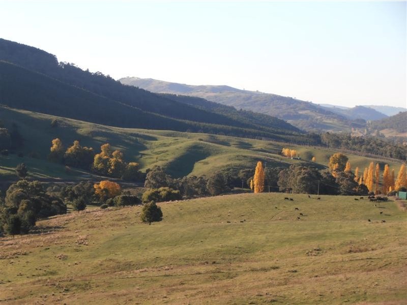 Lot 4 Old Tumbarumba Road, Tumut NSW 2720