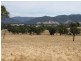 Lot 1 Lacmalac Road, Tumut NSW 2720