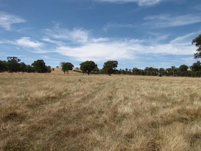 Lot 1 Lacmalac Road, Tumut NSW 2720