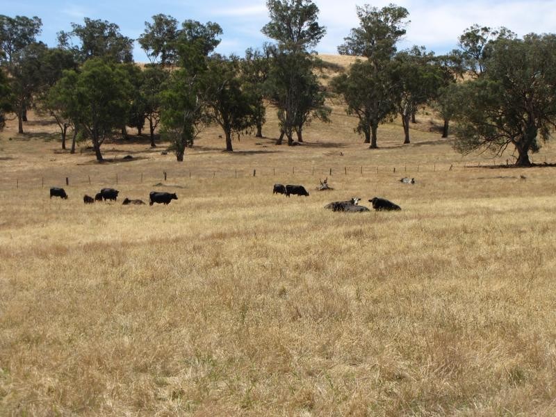 Lot 1 Lacmalac Road, Tumut NSW 2720