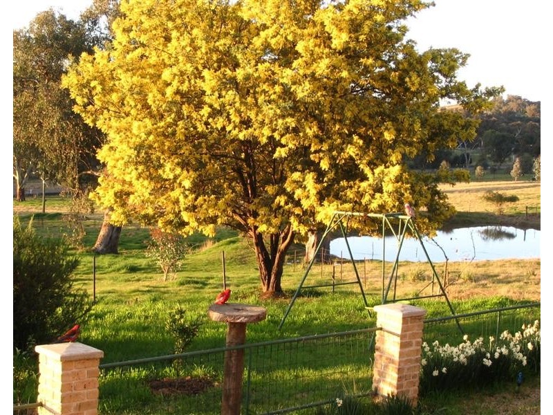 224 Morgans Reserve, Tumut NSW 2720