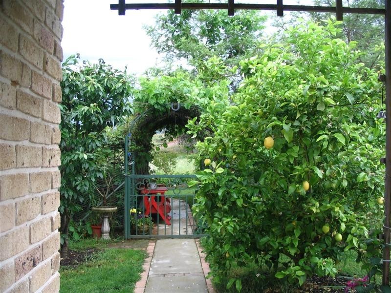 224 Morgans Reserve, Tumut NSW 2720