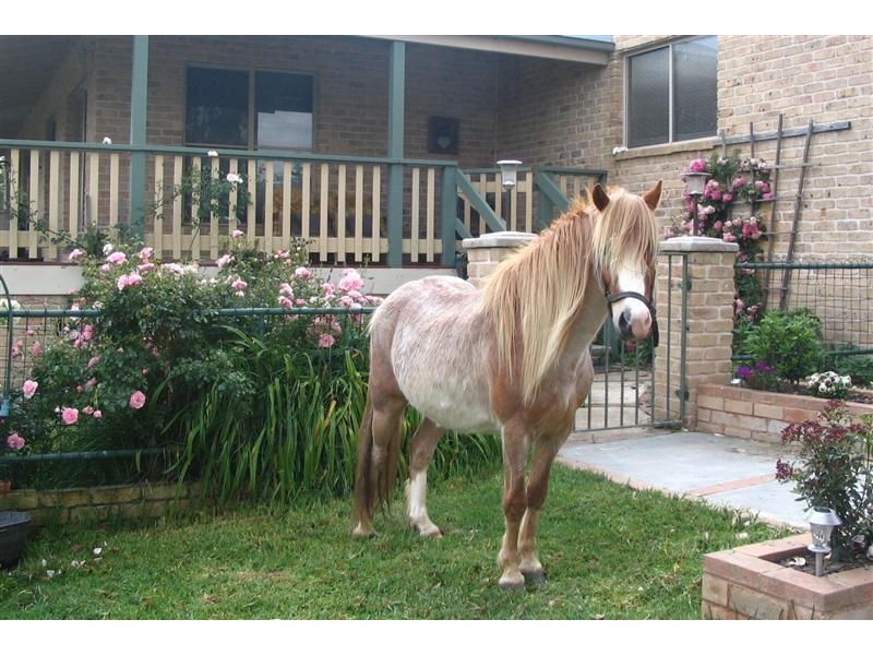 224 Morgans Reserve, Tumut NSW 2720