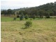224 Morgans Reserve, Tumut NSW 2720