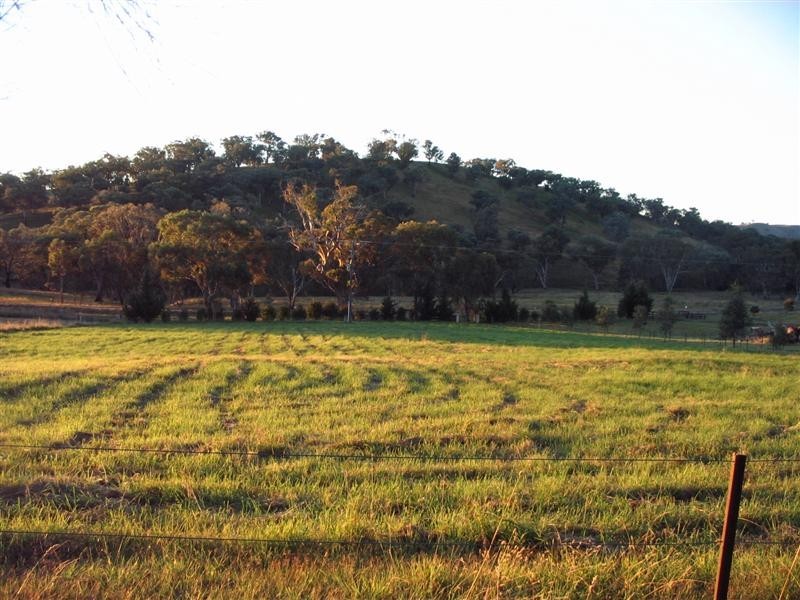 224 Morgans Reserve, Tumut NSW 2720