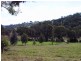 224 Morgans Reserve, Tumut NSW 2720