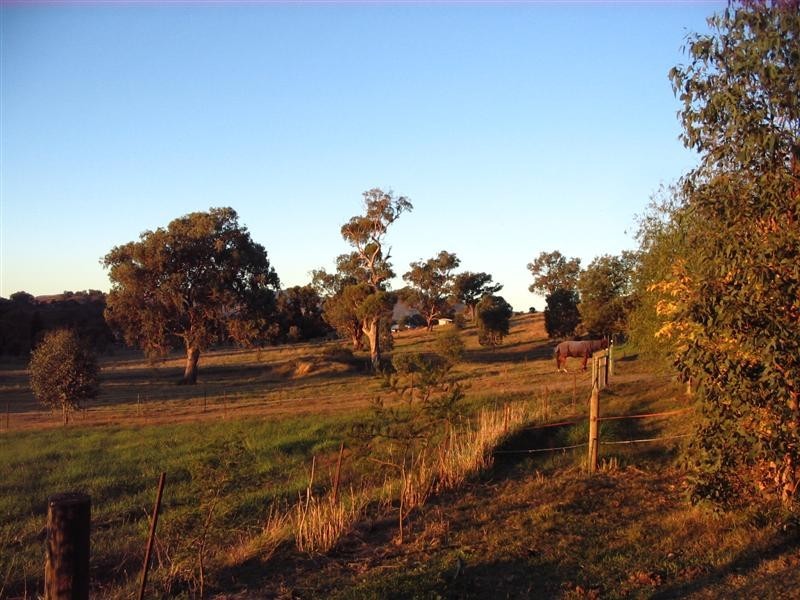 224 Morgans Reserve, Tumut NSW 2720