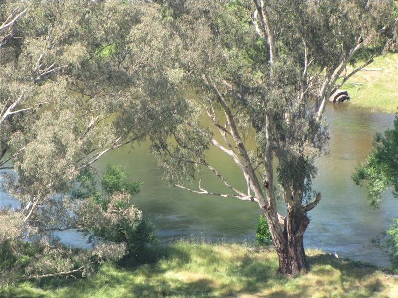 350 Nimbo Road, Tumut NSW 2720