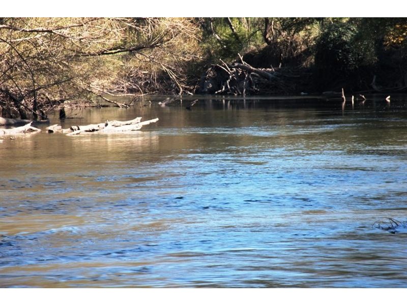 350 Nimbo Road, Tumut NSW 2720