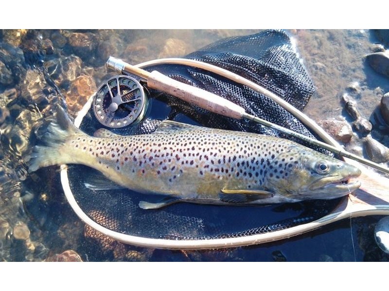 350 Nimbo Road, Tumut NSW 2720