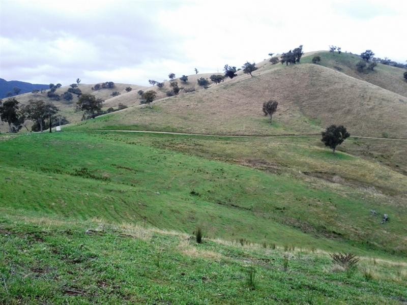 350 Nimbo Road, Tumut NSW 2720