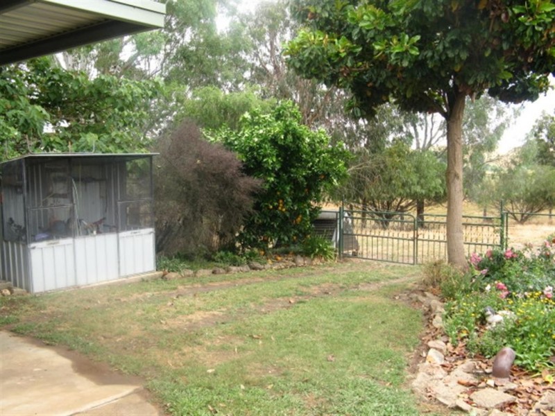 40 Spring Creek Road, Adelong NSW 2729