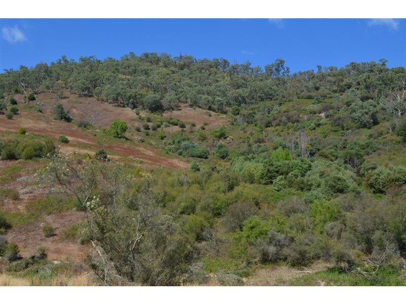 Lots 5 and 6 Goobarragandra Road, Tumut NSW 2720