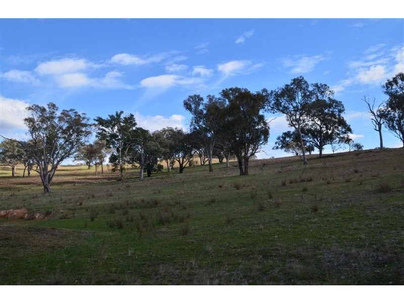 Lot 44 Lowthers Lane, Tumut NSW 2720