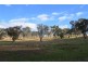 Lot 44 Lowthers Lane, Tumut NSW 2720