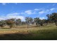 Lot 44 Lowthers Lane, Tumut NSW 2720