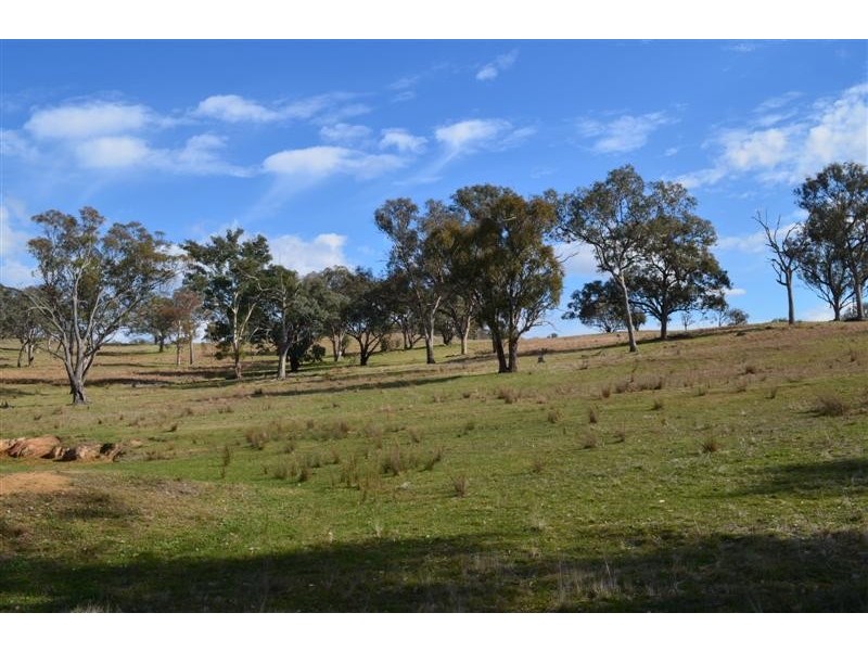 Lot 44 Lowthers Lane, Tumut NSW 2720