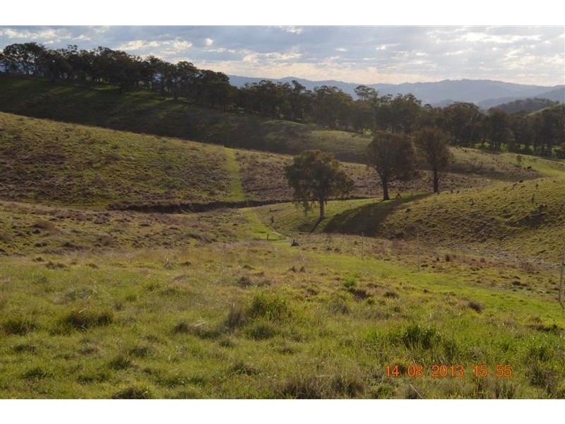 Lot 31 and 32 Wee Jasper Road, Wyangle Via, Tumut NSW 2720