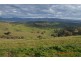 Lot 31 and 32 Wee Jasper Road, Wyangle Via, Tumut NSW 2720